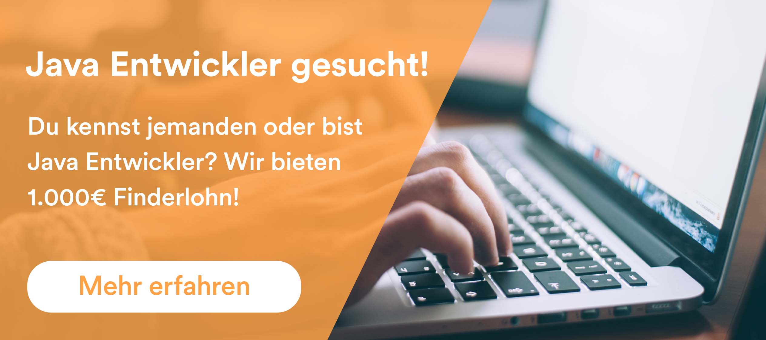03_billboard_java_entwickler_gesucht